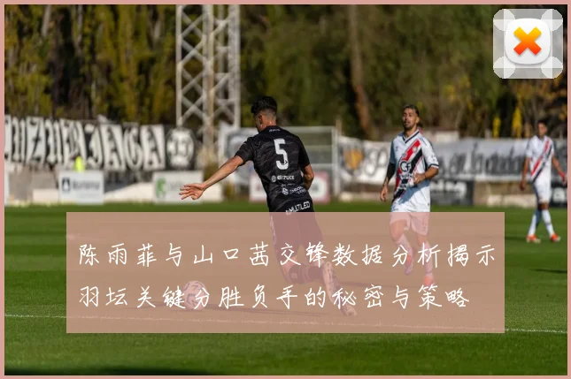 陈雨菲与山口茜交锋数据分析揭示羽坛关键分胜负手的秘密与策略
