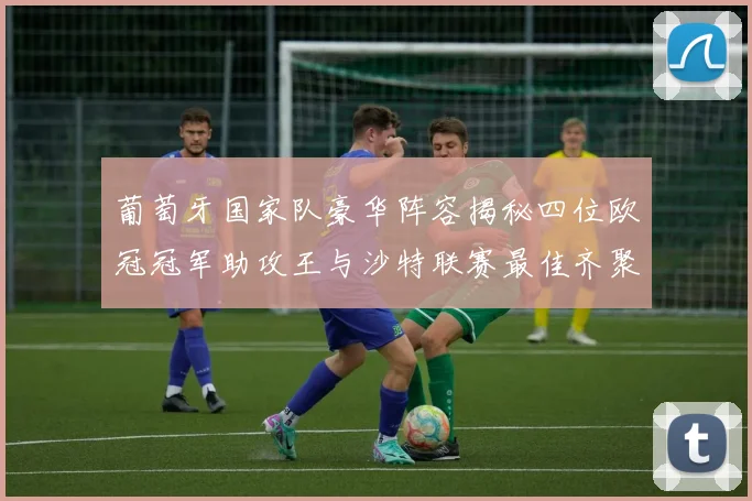 葡萄牙国家队豪华阵容揭秘四位欧冠冠军助攻王与沙特联赛最佳齐聚一堂