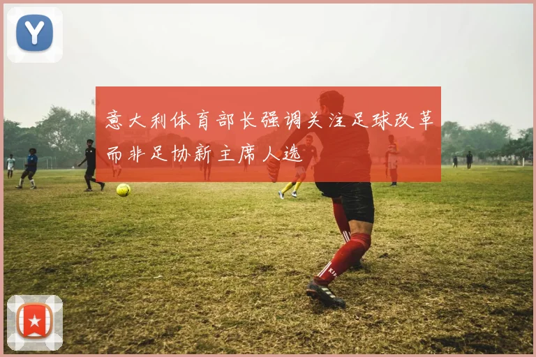 意大利体育部长强调关注足球改革而非足协新主席人选